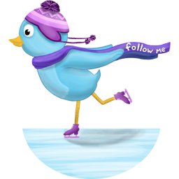 Winter skating follow