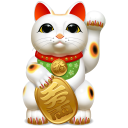 Cat pet animal