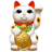 Cat pet animal