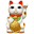 Cat pet animal