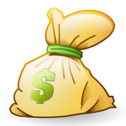 Money cash bag